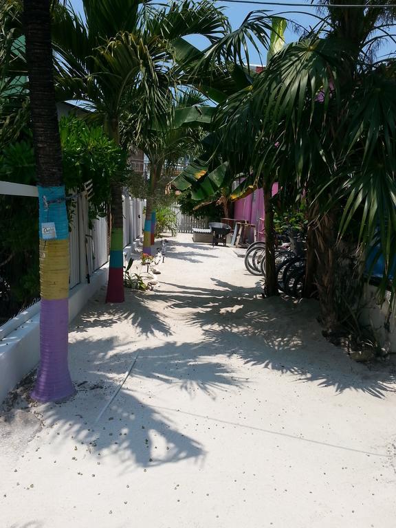 Sea N Sun Guest House Caye Caulker Exterior foto